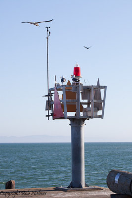 Santa Barbara Pier, CA