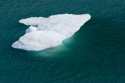 Iceberg #1