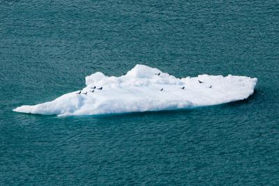 Iceberg #2