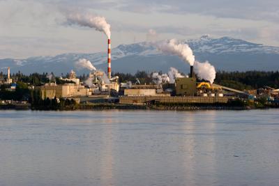 Paper Mill