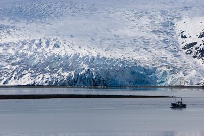 Lamplugh Glacier
