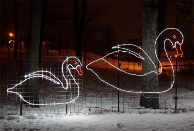 Snow Ducks - December 21
