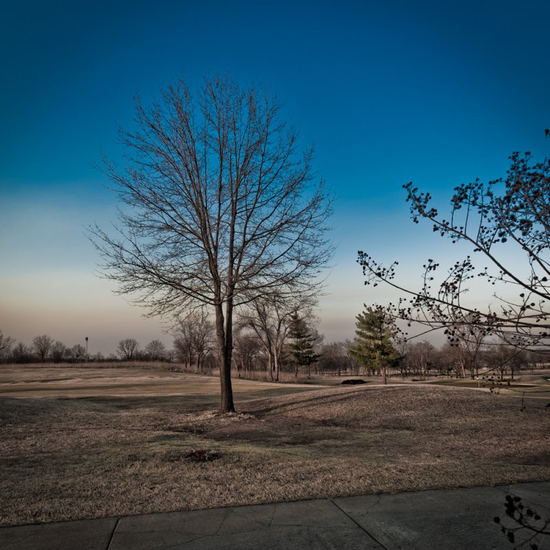 March 11 2011