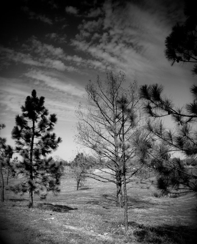 April 8 2011