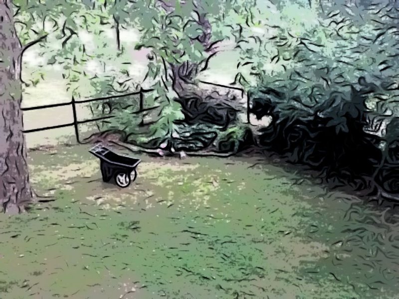 May 10 2011