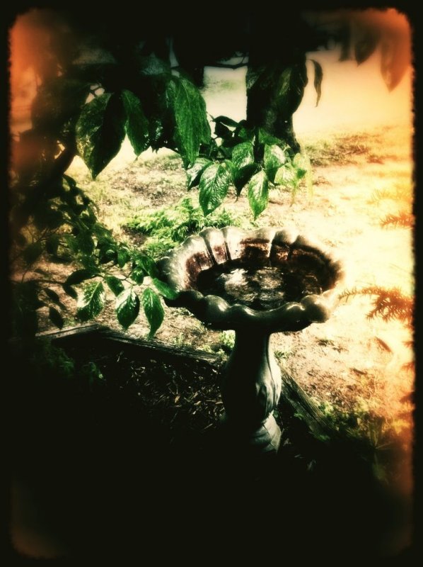 May 11 2011