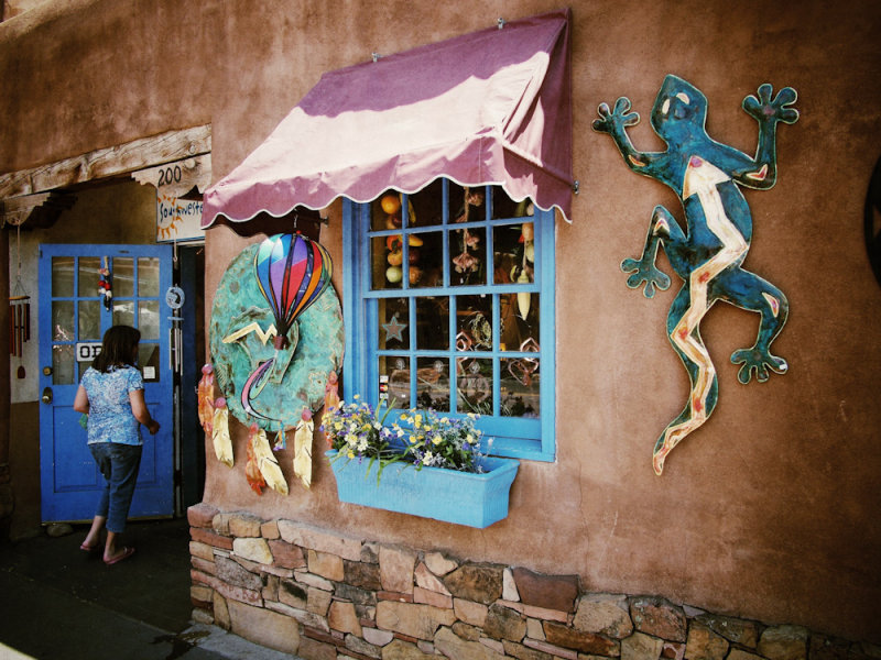 Gecko Curio