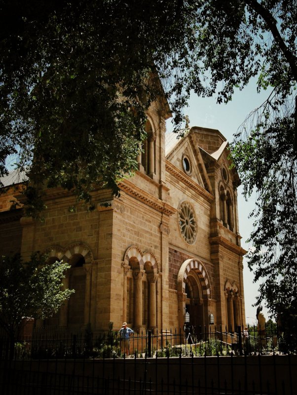 Basilica Through the Trees