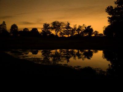 May 4 2011