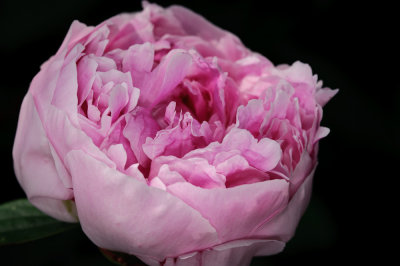 May 8 2011