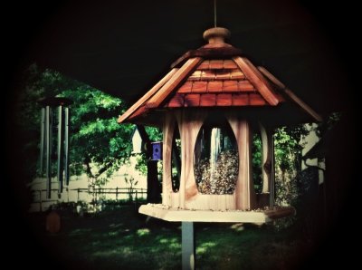 May 12 2011