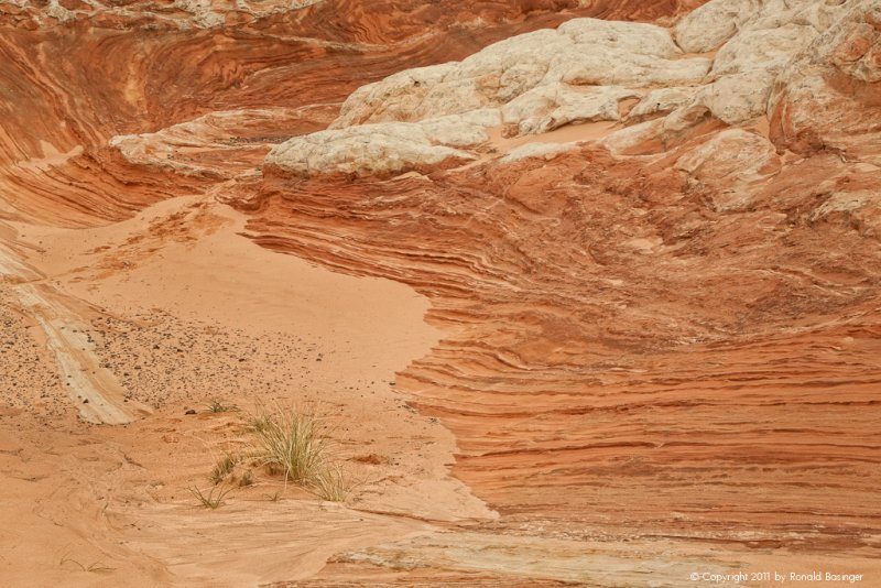 Lonely Existence - Paria Canyon