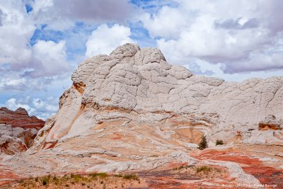 White Pocket - Paria Canyon