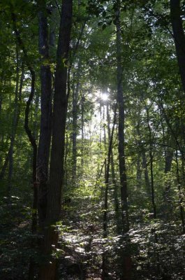 Lost Trail Park