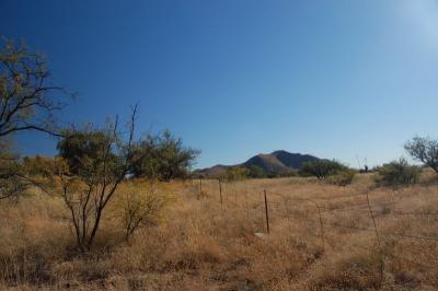 Texas Canyon, Oct 23rd 2005