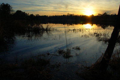 Lake Devernia, 1-27-2008 (#2)