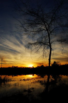 Lake Devernia, 1-27-2008 (#3)