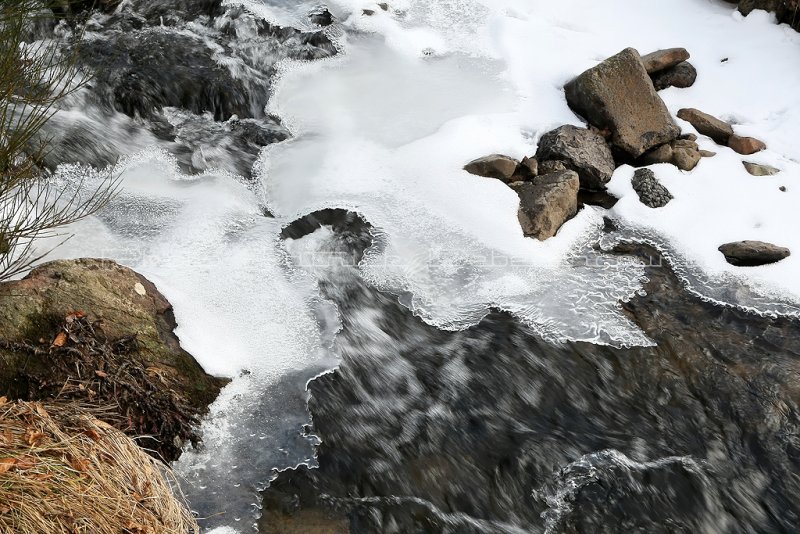 216 Week-end en Auvergne - MK3_8558_DxO WEB2.jpg