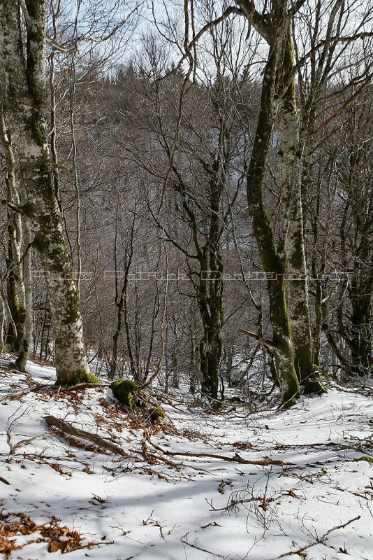 295 Week-end en Auvergne - MK3_8642_DxO WEB2.jpg