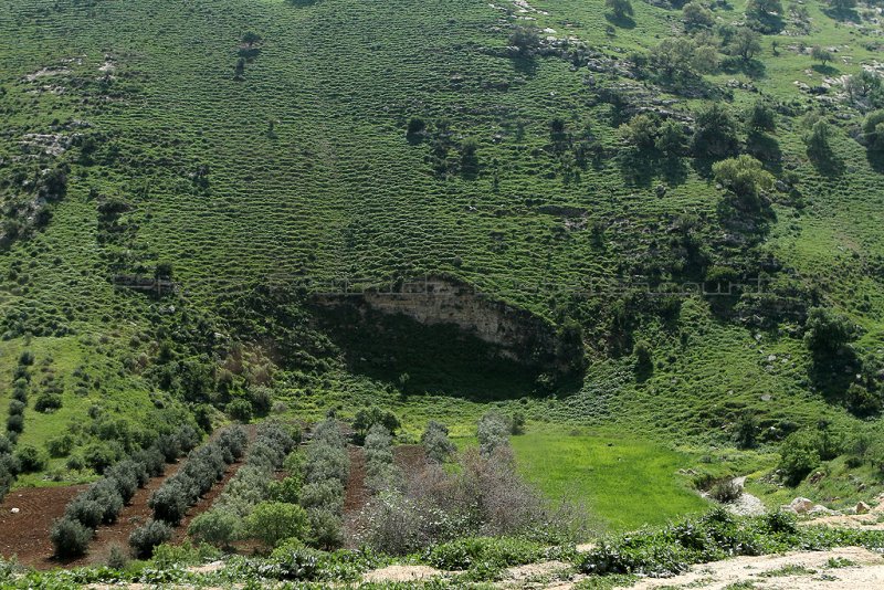 523 Voyage en Jordanie - IMG_1004_DxO Pbase.jpg