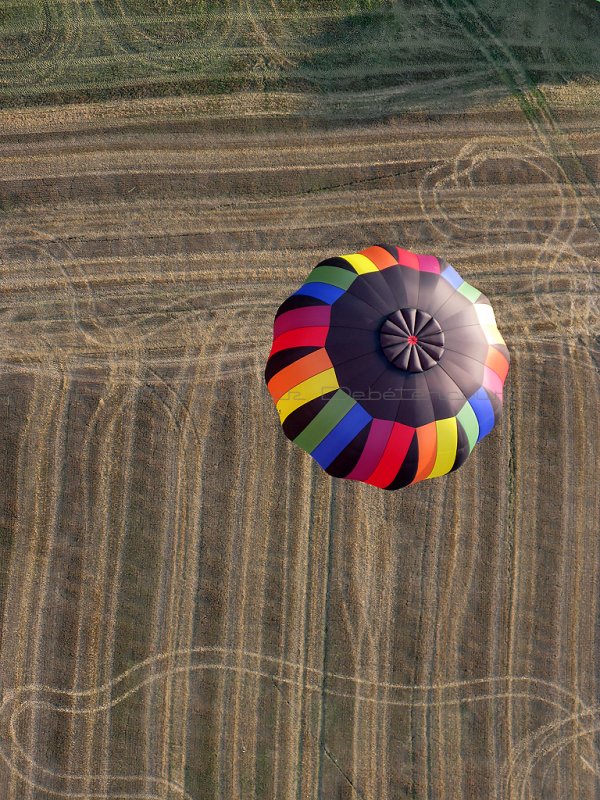 2696 Lorraine Mondial Air Ballons 2011 - IMG_8700_DxO Pbase.jpg