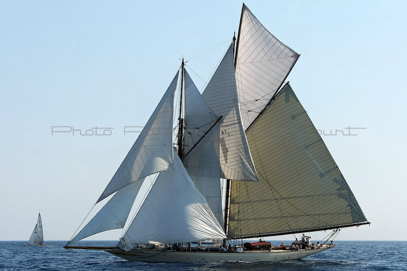 462 Voiles de Saint-Tropez 2011 - MK3_5567_DxO Pbase.jpg