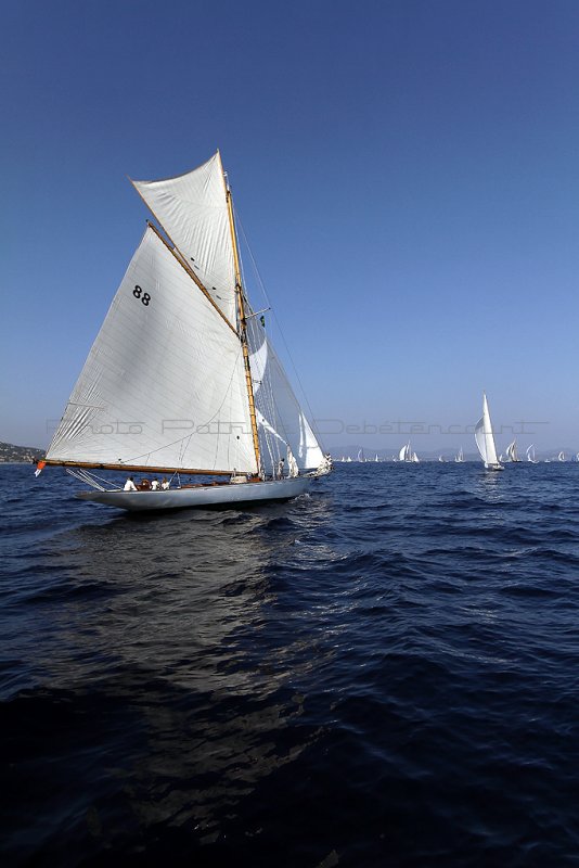 486 Voiles de Saint-Tropez 2011 - IMG_2631_DxO Pbase.jpg