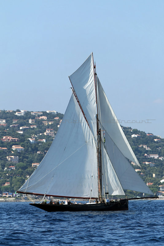 673 Voiles de Saint-Tropez 2011 - MK3_5763_DxO Pbase.jpg