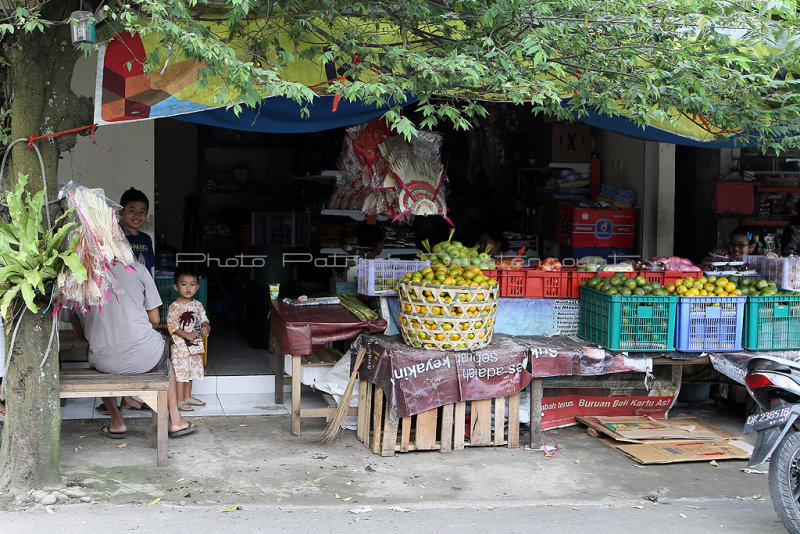 2229 - Discovering Indonesia - Java Sulawesi and Bali islands - IMG_4343_DxO Pbase.jpg