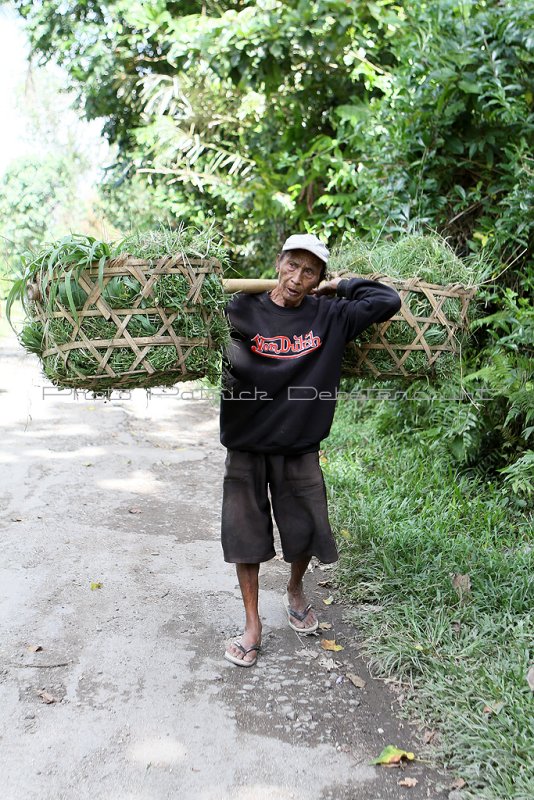 2327 - Discovering Indonesia - Java Sulawesi and Bali islands - IMG_4441_DxO Pbase.jpg