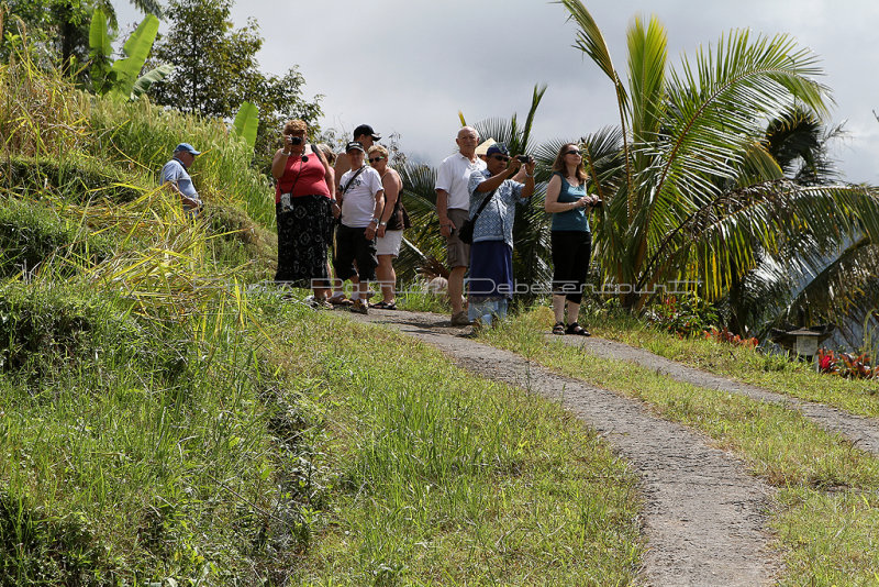 2805 - Discovering Indonesia - Java Sulawesi and Bali islands - IMG_4944_DxO Pbase.jpg