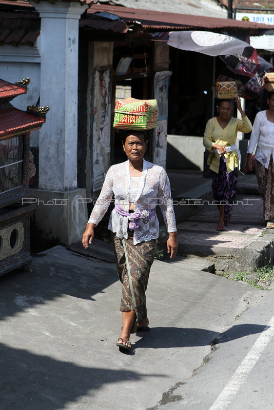 3498 - Discovering Indonesia - Java Sulawesi and Bali islands - IMG_5662_DxO Pbase.jpg