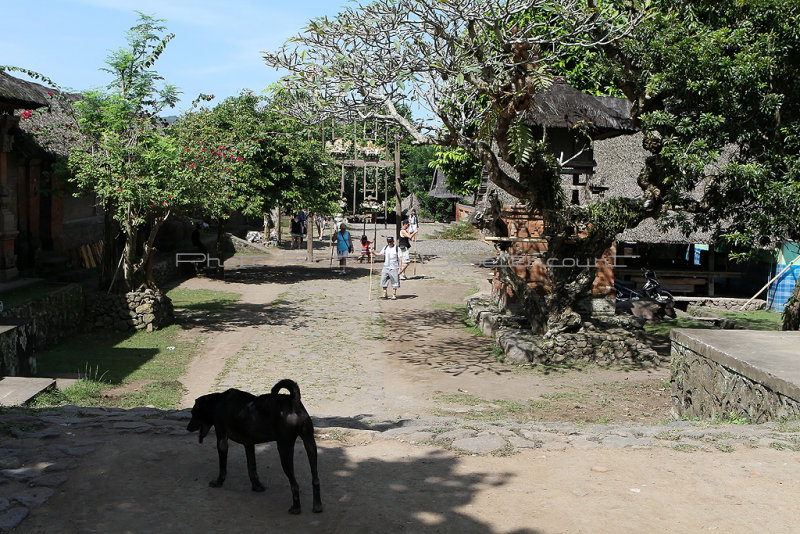 3725 - Discovering Indonesia - Java Sulawesi and Bali islands - IMG_5903_DxO Pbase.jpg