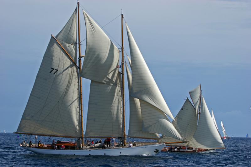 Voiles de Saint-Tropez 2005 - Voiliers de tradition