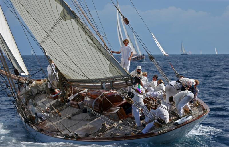 Voiles de Saint-Tropez 2005 -  Voiliers de tradition