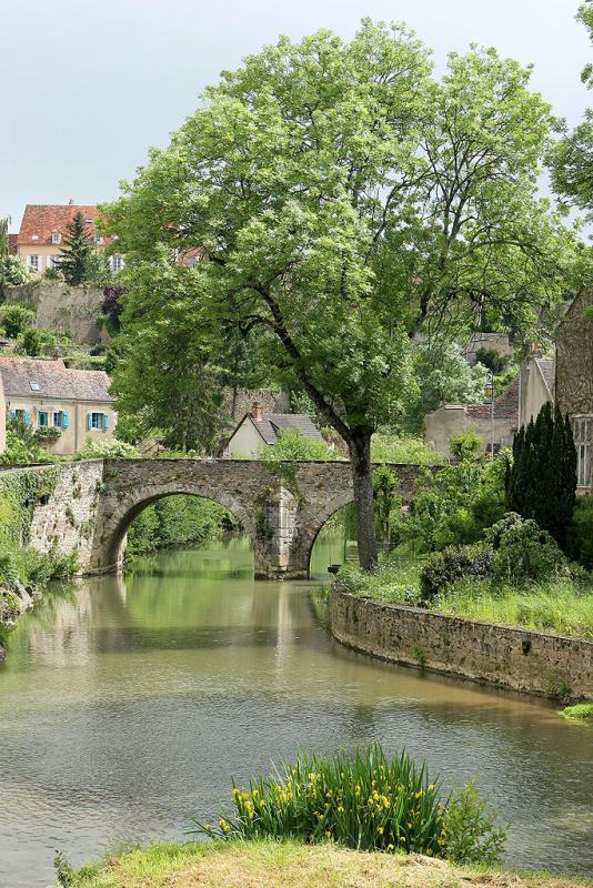 Découverte du village médiéval de Semur en Auxois