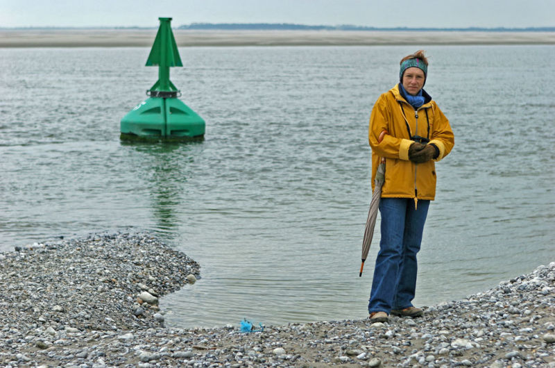 Balade en Baie de Somme - Autour de la point du Hourdel