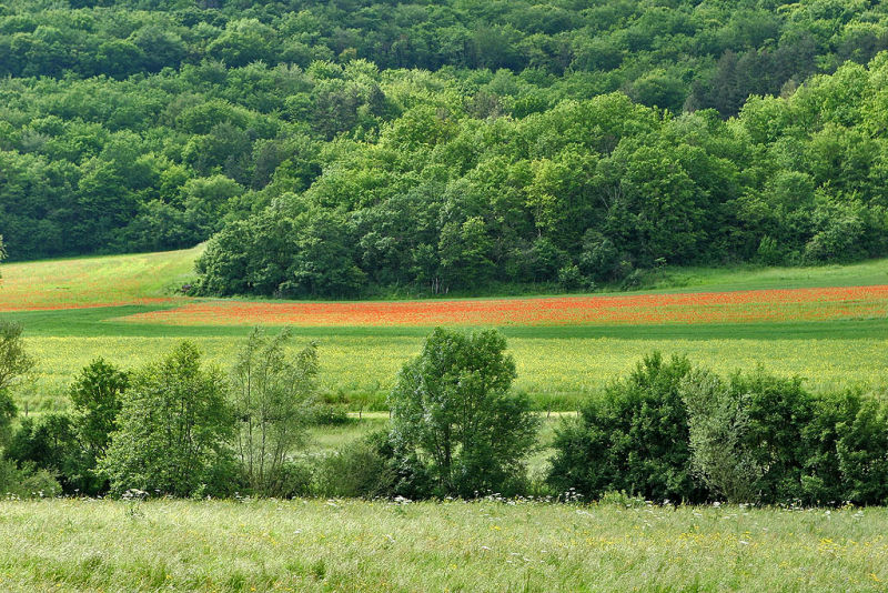 Le long du canal de Bourgogne près de Chateauneuf en Auxois