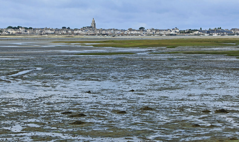 Marais salants de la presqule Gurandaise - MK3_4480_DXO.jpg