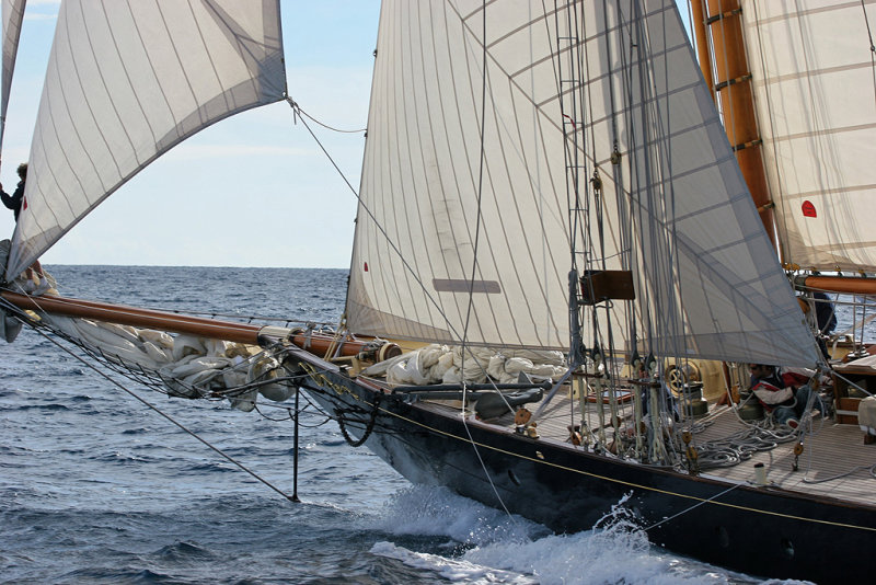 Voiles de Saint-Tropez 2005