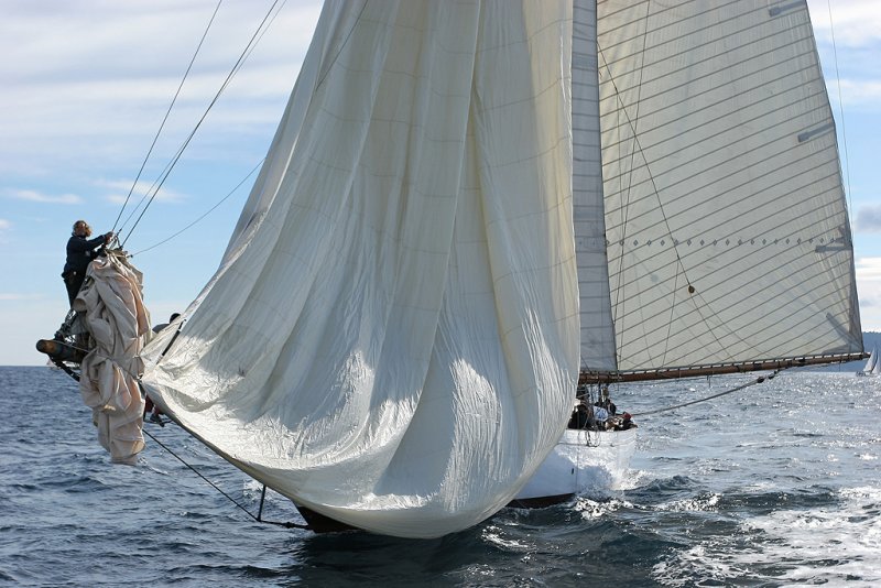 Voiles de Saint-Tropez 2005