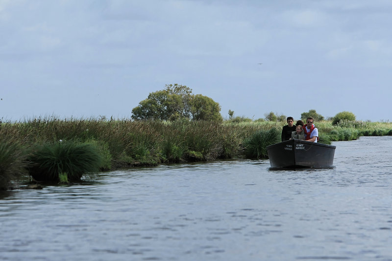 Balade en barque dans la Grande Brire, prs de St-Andr-des-Eaux - MK3_4608_DXO.jpg