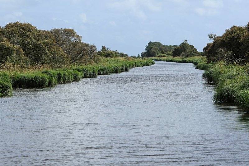 Canal du nord de la Grande Brire - MK3_4700_DXO.jpg