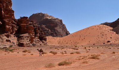 2471 Voyage en Jordanie - IMG_2976 Pbase.jpg