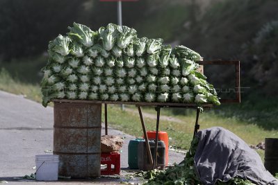 400 Voyage en Jordanie - IMG_0877_DxO Pbase.jpg