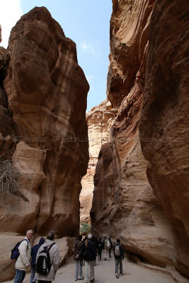 1379 Voyage en Jordanie - IMG_1894_DxO Pbase.jpg