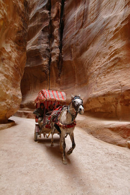 1399 Voyage en Jordanie - IMG_1914_DxO Pbase.jpg