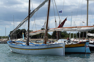 500 Semaine du Golfe 2011 - Journe du mardi 31-05 - MK3_7765_DxO WEB.jpg