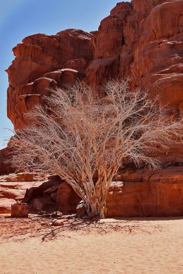 2128 Voyage en Jordanie - IMG_2626_DxO WEB.jpg