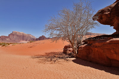 2129 Voyage en Jordanie - IMG_2627_DxO WEB.jpg